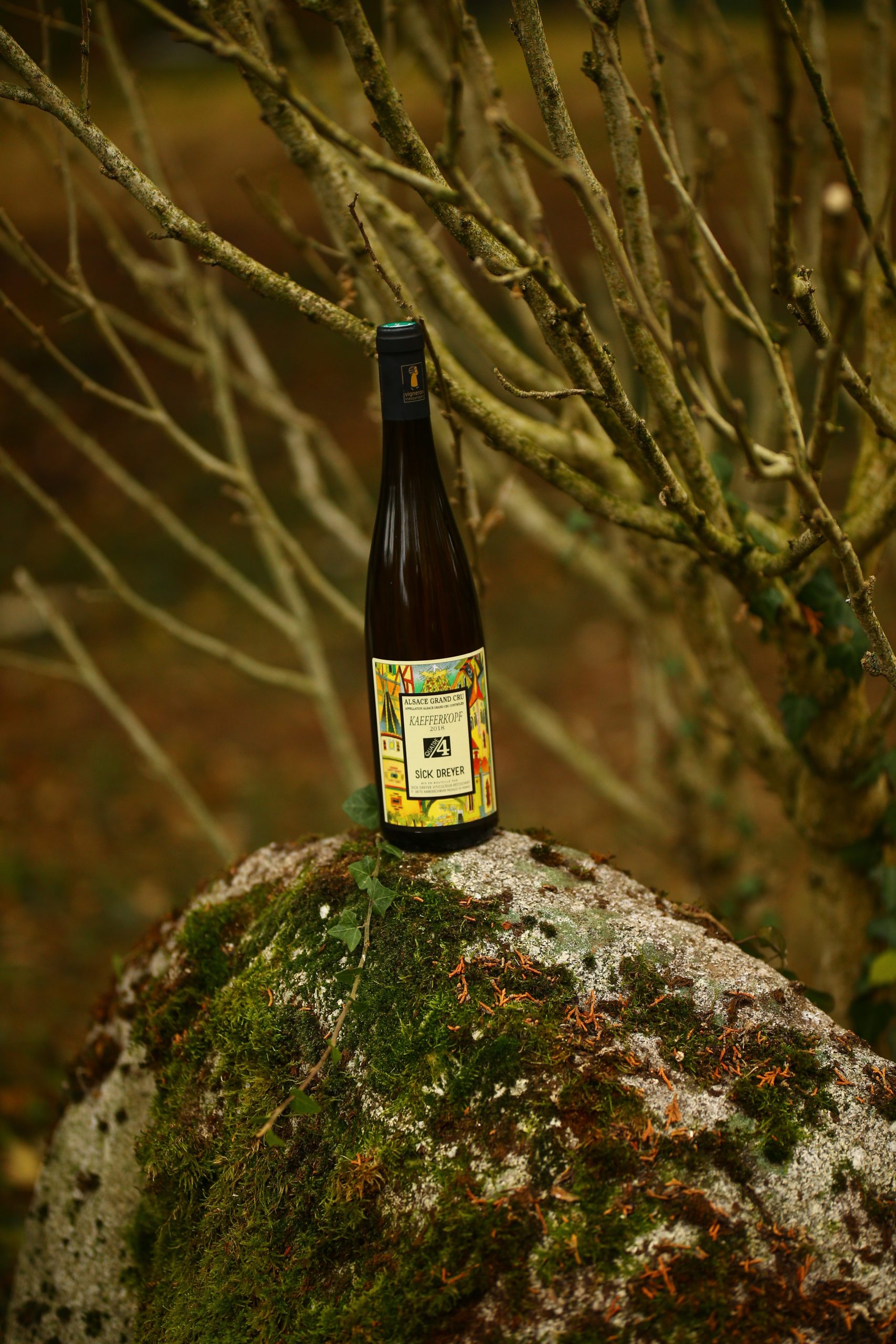 Kaefferkopf dans la nature